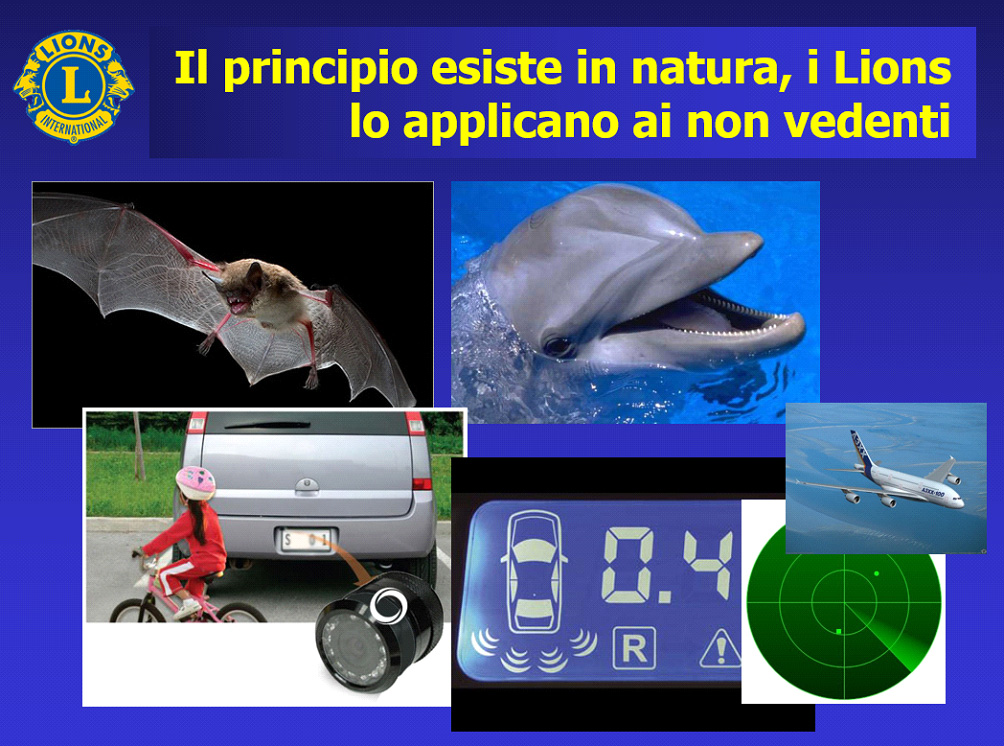 Diapositiva con foto di pipistrello, delfino, radar di aereo e auto in retromarcia